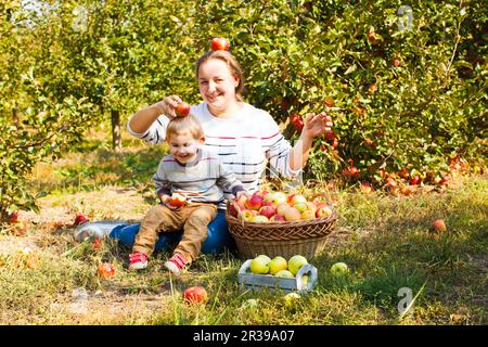 La famiglia felice la raccolta di mele in una fattoria. Foto Stock