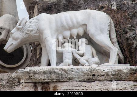 Statua di Romolo e remo fondatori di roma e lupo Foto Stock