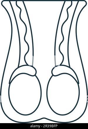 Icona testicoli. Segno semplice monocromatico dalla raccolta di anatomia. Icona testicoli per logo, modelli, web design e infografiche. Illustrazione Vettoriale