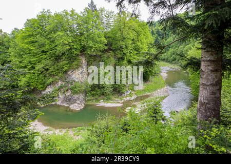 REGIONE DI IVANO-FRANKIVSK, UCRAINA - 22 MAGGIO 2023 - il fiume Pistynka è raffigurato nella regione di Ivano-Frankivsk, Ucraina occidentale. Foto Stock