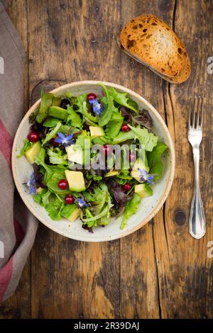 Insalata verde mista con avocado, ribes rosso e fiori di borragine Foto Stock