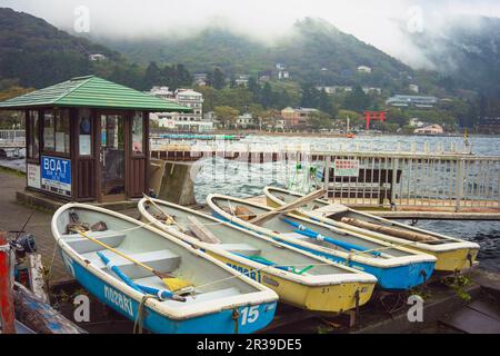 Attrazioni naturali del Giappone, turismo, Tokyo, Kyoto, Osaka, Nara, Nikko, Nagoya, Hakkone Foto Stock