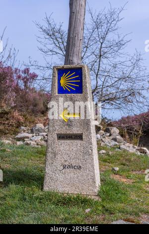 Conchiglia di capesante gialla, simbolo turistico del Camino de Santiago che mostra la direzione su Camino Norte in Spain.Column con rocce che sigilla la strada per Santi Foto Stock