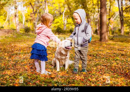 I bambini felici giocano e accarezzano il loro cane nella foresta autunnale Foto Stock