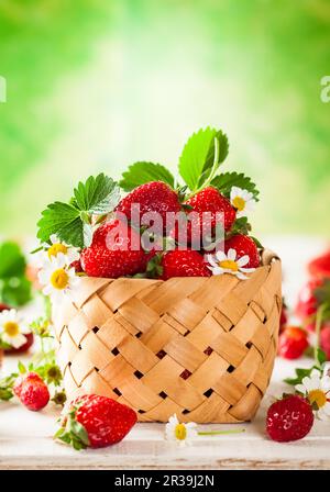 Fragola fresca in cestino su sfondo di legno Foto Stock