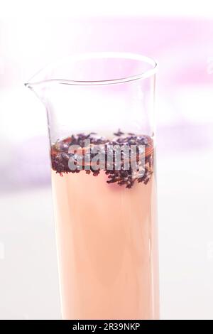 Aceto di lavanda fatto in casa in una provetta Foto Stock