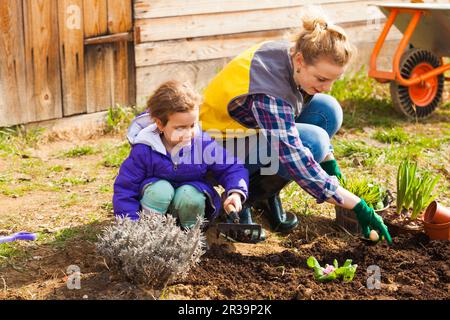 Madre e figlia che lavorano nel loro giardino Foto Stock