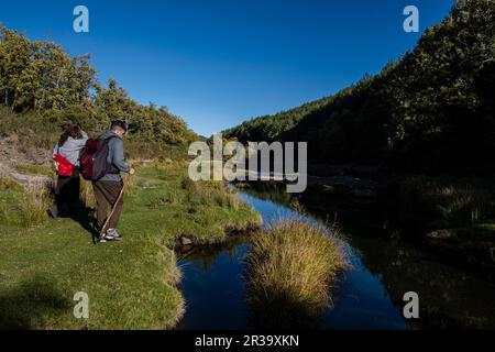 El Sotillo de Tejera Negra, Parco Naturale Sierra Norte de Guadalajara, Cantalojas, Guadalajara, Spagna. Foto Stock