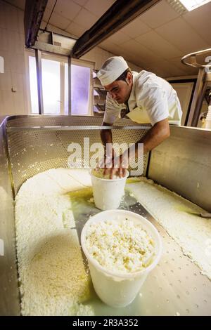 Fatto tutto artigianelmente fabricacion de queso Binigarba - denominacion de origen Mahon artesano- finca Binigarba, Ciutadella, Menorca, Islas Baleares, España, Europa. Foto Stock