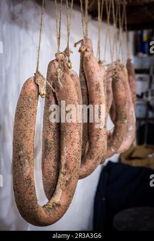 Essiccazione delle salsicce, macellazione tradizionale del maialino nero di Maiorca, Isole Baleari, Spagna. Foto Stock