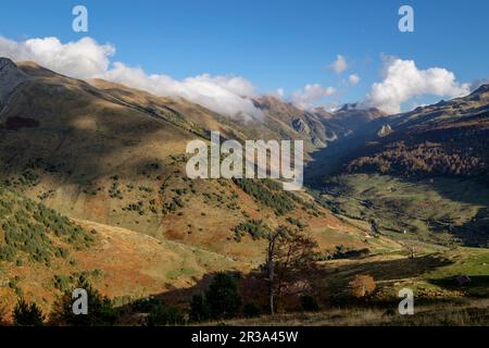 Vista panoramica della foresta di Oza e della valle di Guarrinza, Valle di Hecho, valli occidentali, catena montuosa dei Pirenei, provincia di Huesca, Aragon, Spagna, europa. Foto Stock