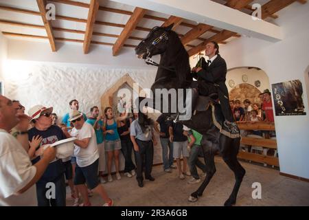 Caragol de Santa Clara, Fiestas de Sant Joan. Ciutadella. Minorca, Islas Baleares, España. Foto Stock