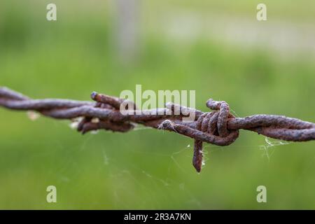 Dettaglio della recinzione spuncinata Foto Stock