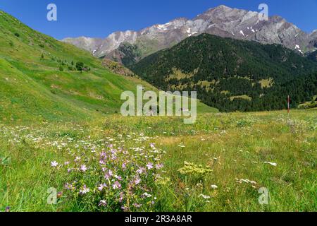 Granjas de biadós y pico Posets, 3371 mts, Valle de Añes Cruces, Parque natural Posets-Maladeta, Huesca, cordillera de los Pirineos, Spagna. Foto Stock