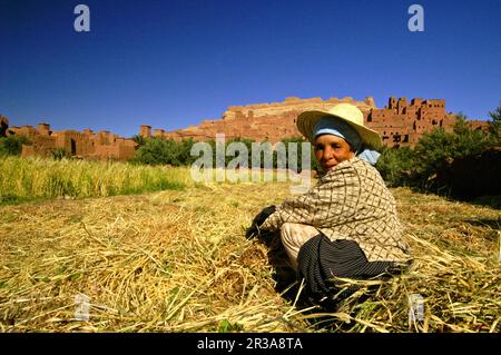Casbah de Aït Benhaddou (S.XVI). Cordillera del Atlas. Marruecos. Maghreb. L'Africa. Foto Stock