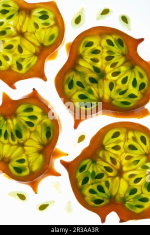 Kiwano fettine, retroilluminate Foto Stock