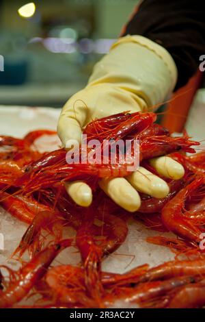 Pescaderia del Mercat de l'Olivar, Palma, Mallorca, Isole Balneari, Spagna. Foto Stock