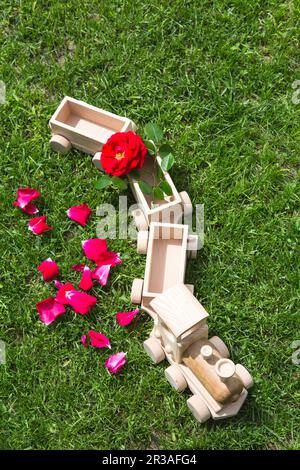 Giocattoli di legno per bambini. Treno in legno per bambini con vagoni e  auto. Set per costruzioni in legno naturale. Attrezzature didattiche Foto  stock - Alamy