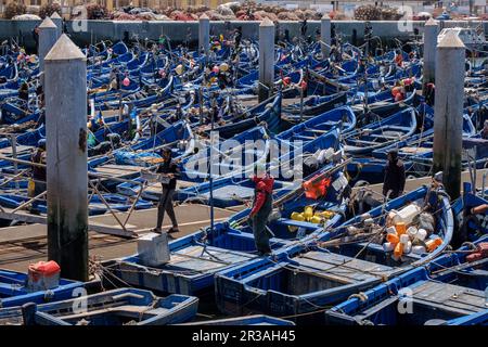 Barche da pesca marocchine classiche, porto di pesca, Essaouira, marocco, africa. Foto Stock