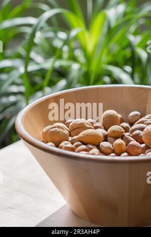 Vari tipi di noci assortiti in una grande ciotola di legno su uno sfondo verde verdeggiante Foto Stock