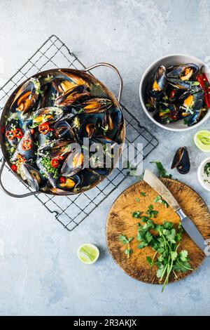 Cozze asiatiche con peperoncino, lime e coriandolo Foto Stock