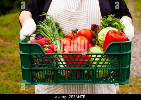 Donna che tiene un cestino con verdure mature Foto Stock