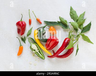 Vari tipi di peperone e peperoncino Foto Stock