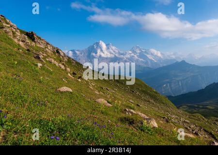 Eiger, Monch e Jungfrau montagne della regione della Jungfrau Foto Stock
