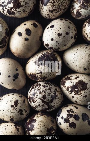 Uova di quaglia. Composizione piatta con piccole uova di quaglia su fondo di legno nero. Macro Quail e. Foto Stock