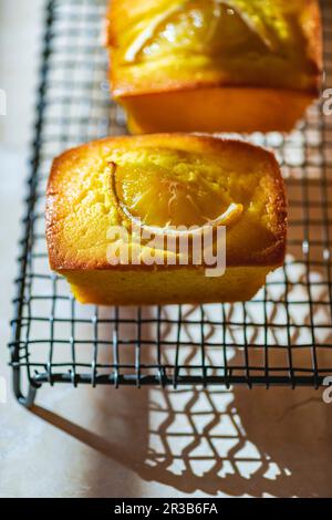 Torte al limone e curcuma Foto Stock