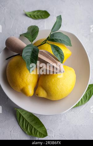 I limoni in una ciotola Foto Stock