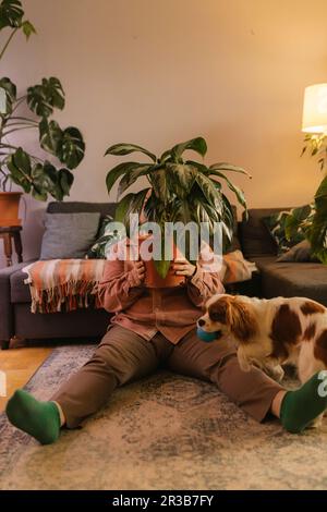 Uomo seduto con vaso pianta da cane a casa Foto Stock