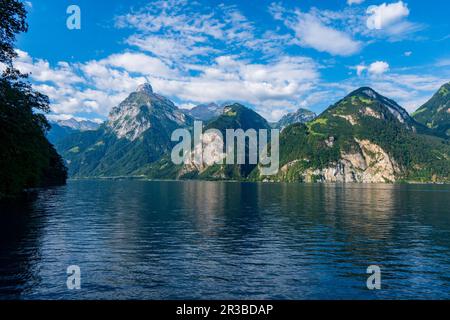 Svizzera, Vista panoramica sulle verdi Alpi e sul lago di Lucerna vicino a Vitznau. Foto Stock