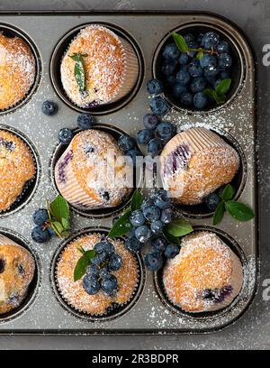 Muffin con mirtilli in un vassoio per muffin Foto Stock