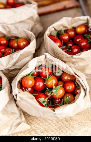 Pomodori ciliegini in sacchetti di carta Foto Stock