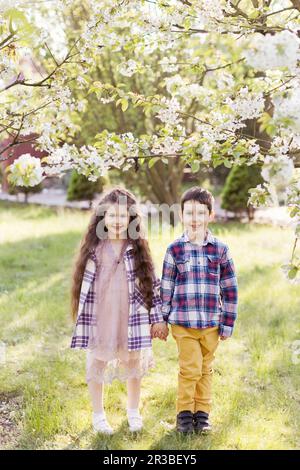 Fratelli che tengono le mani nel cortile posteriore in primavera Foto Stock