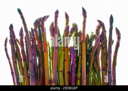 Varie lance di asparagi su sfondo bianco Foto Stock