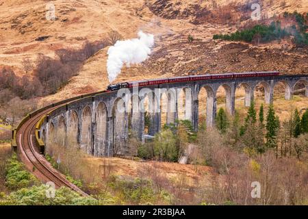 Regno Unito, Scozia, treno a vapore Jacobite che attraversa il Viadotto di Glenfinnan Foto Stock