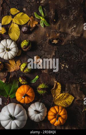 Zucche d'autunno castagne e foglie Foto Stock