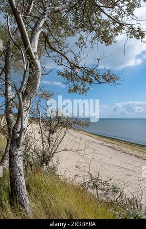 Spiaggia vicino a Hedehusum, Utersum, Mare del Nord isola FÃ¶hr Foto Stock