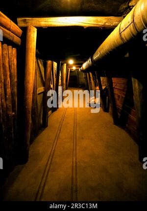Historic underground mining tunnel of diamond mine Foto Stock