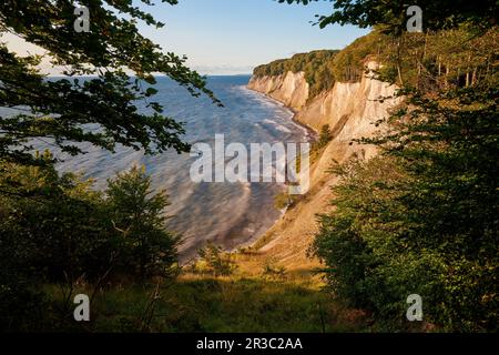 Ruegen Germania gesso rocce sentiero sul lago Foto Stock