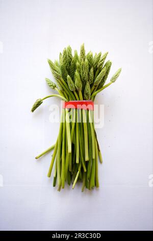 Asparagi selvatici Foto Stock