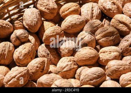 Primo piano gusci di noce interi aperti organici sotto il sole. Fondo guscio in noce non aperto. Colpo da studio di noce non aperto. Foto Stock