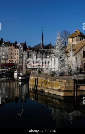 Nel porto storico di Honfleur, nel Calvados, in Normandia, in Francia, all'ingresso del Vieux Bassin, un albero di Natale bianco sorge sentinella accanto alla Luogotenanza, un gruppo di edifici che incorporano l'ex residenza del tenente del re. La Luogotenanza comprende anche vestigia di bastioni medievali costruite per difendere Honfleur negli anni '1200s e '1300s, tra cui i resti della Porte de Caen, una delle due porte medievali della città. Il Vieux Bassin è stato iniziato nel 1668 come nuovo porto per Honfleur. Foto Stock