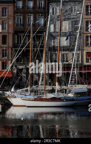 Barche ormeggiate nel Vieux Bassin a Honfleur, Calvados, Normandia, Francia, sullo sfondo di case alte e strette risalenti al 1600s e 1700s che fiancheggiano il Quai Sainte-Catherine. Il Vieux Bassin (vecchio bacino, porto o molo) fu iniziato nel 1668 come nuovo porto per Honfleur. Foto Stock