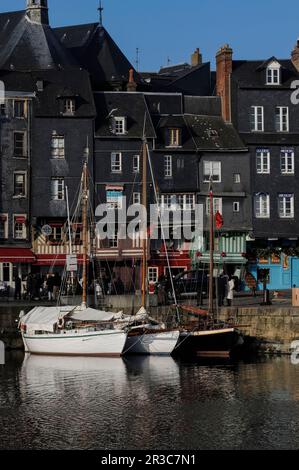 Il Quai Sainte-Catherine accanto al Vieux Bassin a Honfleur, Calvados, Normandia, Francia, dove le case alte e strette distintive risalenti al 1600s e al 1700s fanno da sfondo agli yacht ormeggiati nel porto. Il Vieux Bassin (vecchio bacino, porto o molo) fu iniziato nel 1668 come nuovo porto per Honfleur. Foto Stock