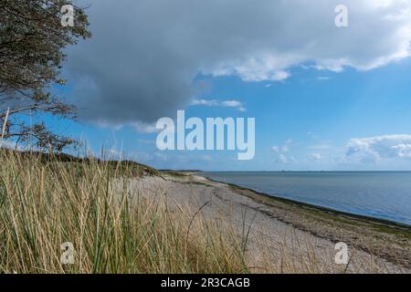 Spiaggia vicino a Hedehusum, Utersum, Mare del Nord isola FÃ¶hr Foto Stock