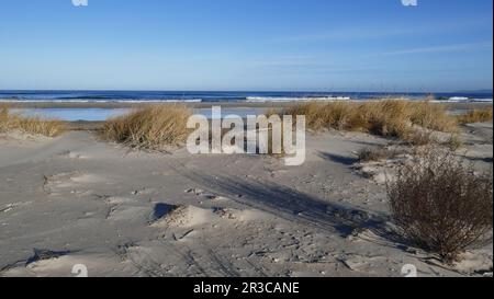 Spiaggia naturale del Mar Baltico. Natura 2000, East Beach Swinoujscie Foto Stock