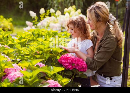 Mamma presenta la figlia a belle idrangee Foto Stock